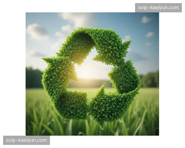 全链路碳中和追踪体系在行业内逐步普及助力绿色办赛落地